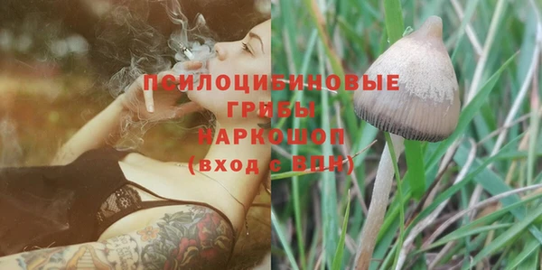 тгк Вяземский